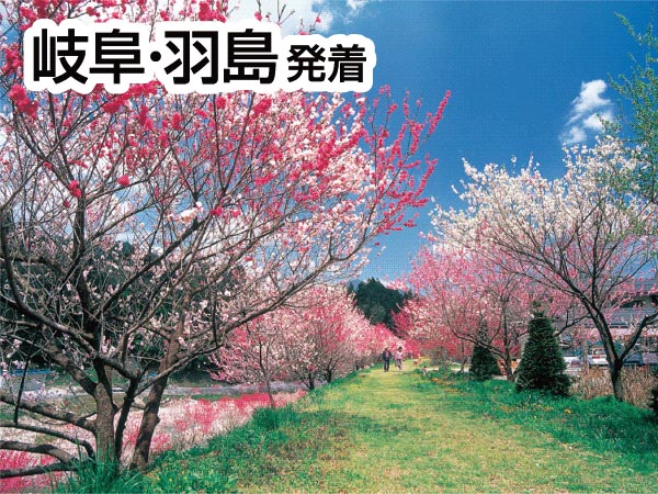 南信州・阿智村の花桃(2026)