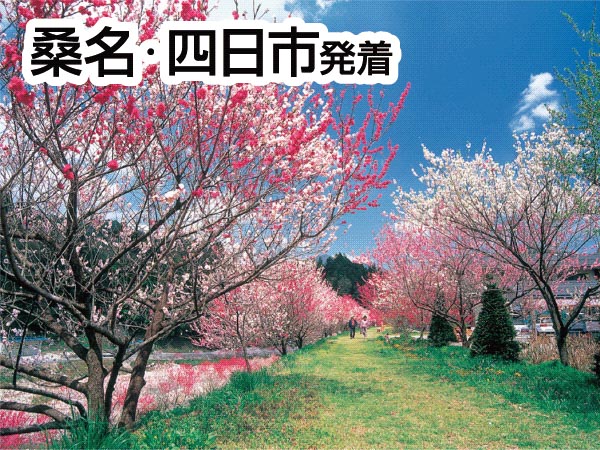 南信州・阿智村の花桃(2026)