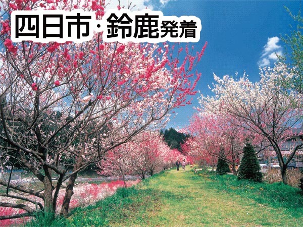 南信州・阿智村の花桃(2026)