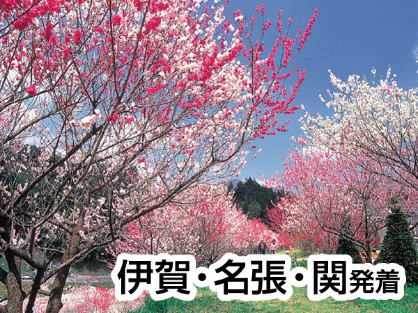 南信州・阿智村の花桃(2026)