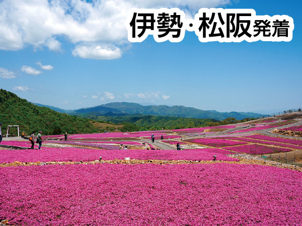 茶臼山高原芝桜と香嵐渓(2026)