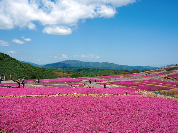ツアーイメージ