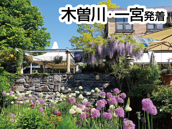 蓼科バラクライングリッシュガーデン(2026)