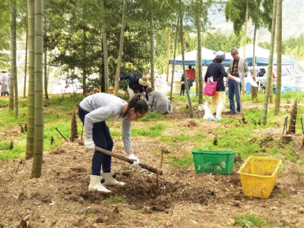 中津川 瀬戸たけのこ掘りと花桃の里(2026)