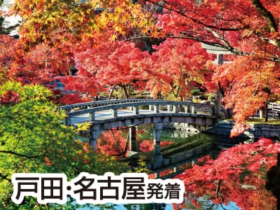 哲学の道・南禅寺紅葉散歩と永観堂(2021)