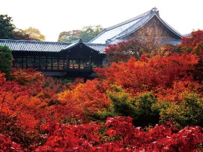 東福寺と東寺（2021）
