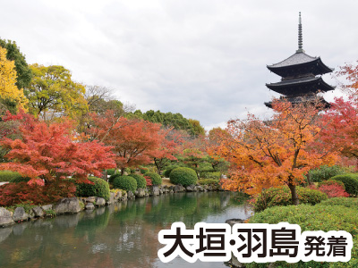 東福寺と東寺・五重塔特別公開(2022)
