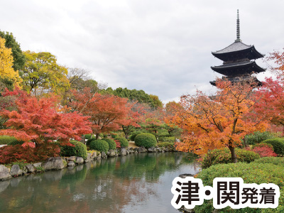 東福寺と東寺・五重塔特別公開(2022)