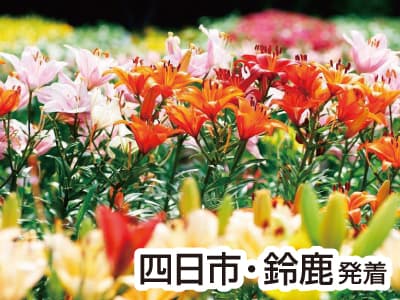 丹波・さくらんぼ&メロン3種食べ放題(2023)
