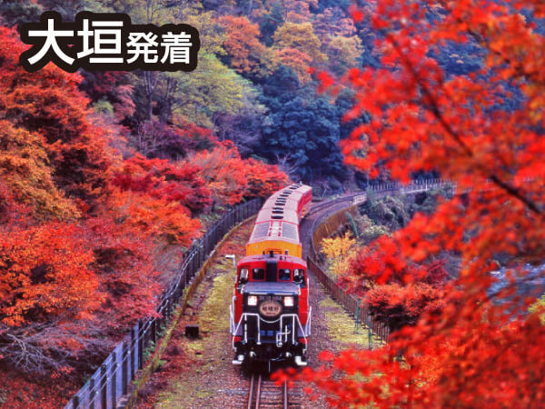 嵯峨野トロッコと下鴨神社&嵐山(2023夏)