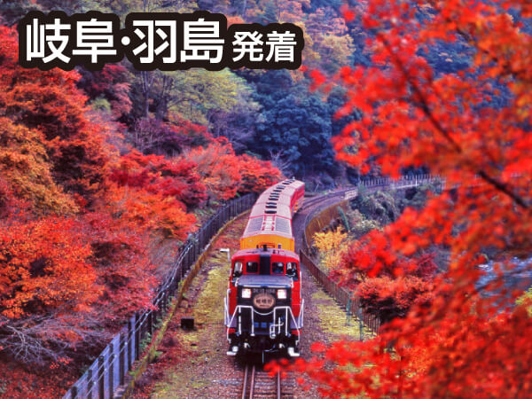 嵯峨野トロッコと下鴨神社&嵐山(2023夏)