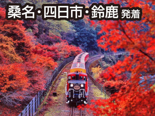 嵯峨野トロッコ&嵐山(2023夏)