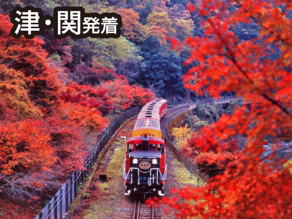 嵯峨野トロッコと下鴨神社＆嵐山(2023夏)