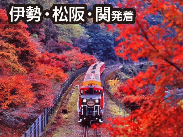 嵯峨野トロッコと下鴨神社&嵐山(2023夏)