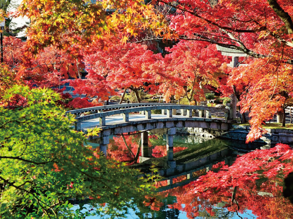 京都南禅寺・永観堂と錦市場（2023秋）