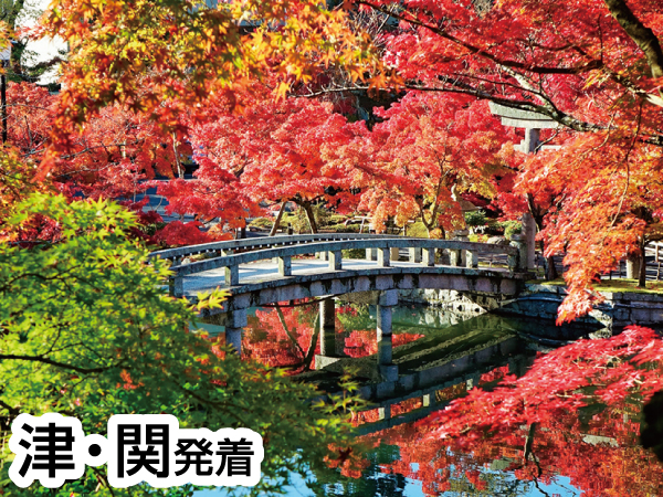 京都南禅寺・永観堂と錦市場（2023秋）