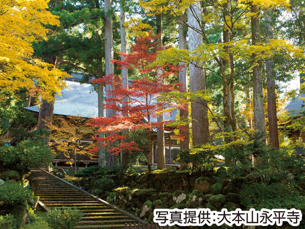 永平寺と越前海鮮ひつまぶし(2023秋)