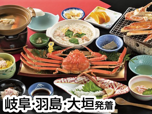 越前海岸 黄色タグ付き越前ガニとかに会席