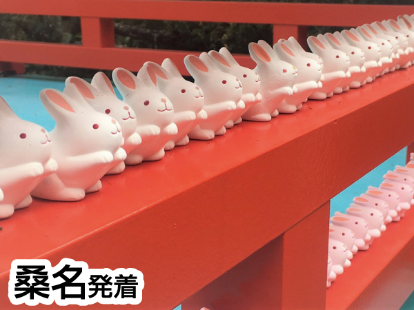 伏見稲荷&下鴨神社(2023冬)