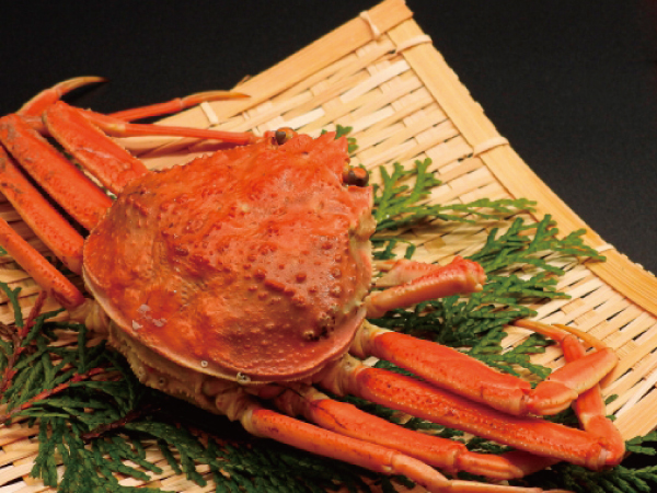 福井カニカニ食べ歩き(2023冬)
