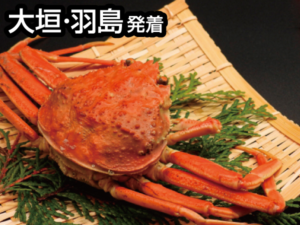 福井カニカニ食べ歩き(2023冬)