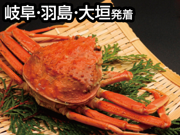 福井カニカニ食べ歩き(2023冬)