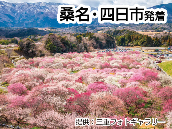 お肉も蟹も食べ放題いなべ梅林公園(2024)