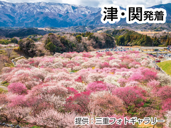 お肉も蟹も食べ放題いなべ梅林公園(2024)