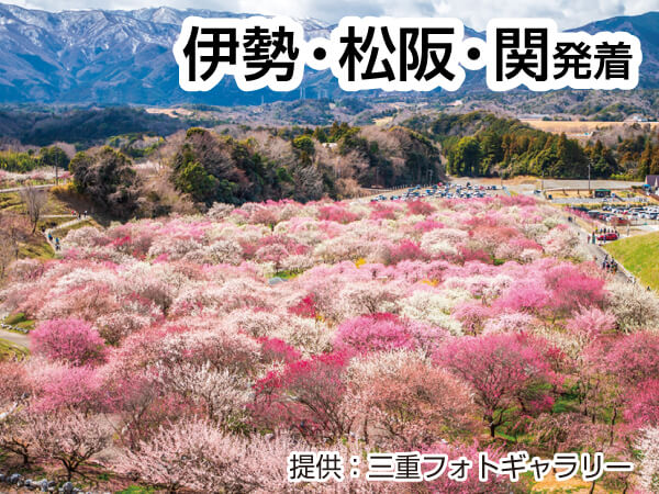 お肉も蟹も食べ放題いなべ梅林公園(2024)