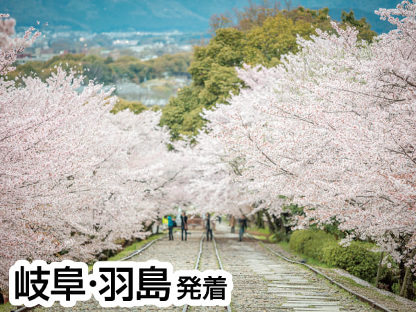 春の嵐山と紅しだれ桜(2024)