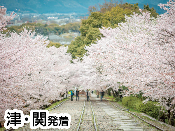 春の嵐山と紅しだれ桜(2024)