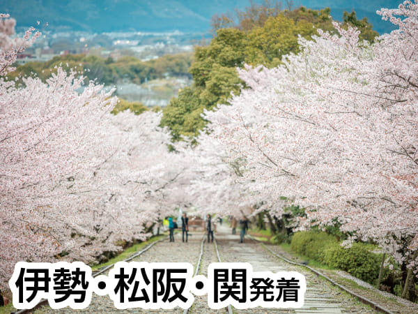 春の嵐山と紅しだれ桜(2024)