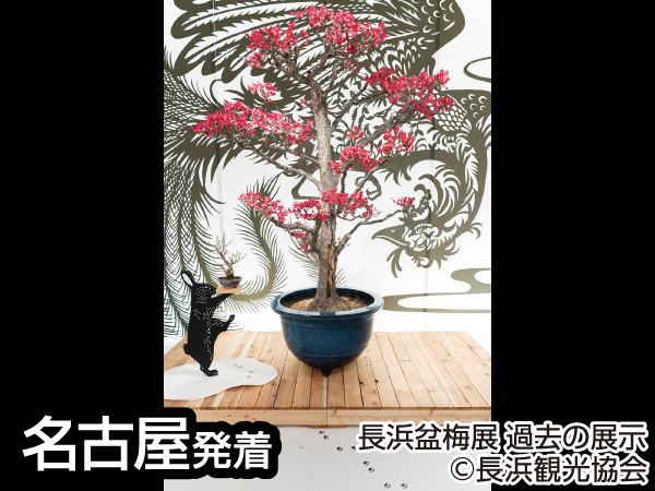越前大河ドラマ館(2024)