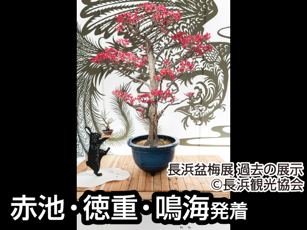 越前大河ドラマ館(2024)