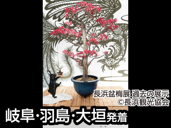 越前大河ドラマ館(2024)