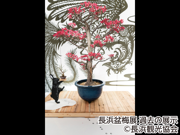 越前大河ドラマ館(2024)