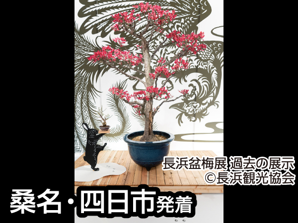 越前大河ドラマ館(2024)