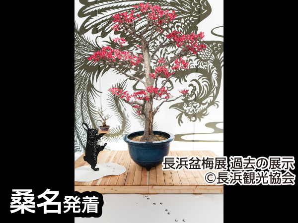 越前大河ドラマ館(2024)