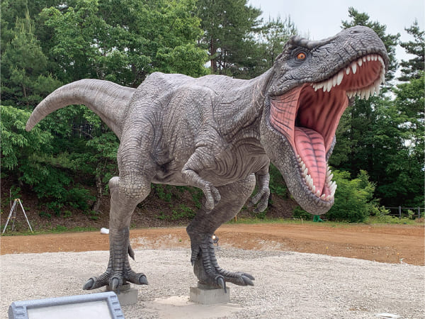 福井県恐竜博物館(2024)