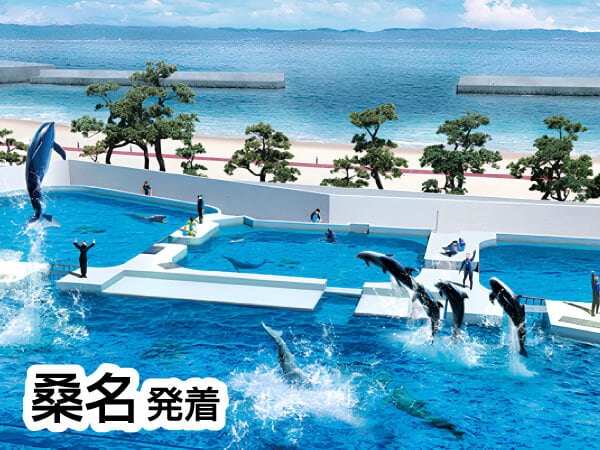 神戸須磨シーワールド(2024)