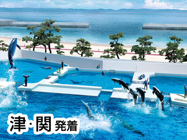 神戸須磨シーワールド(2024)