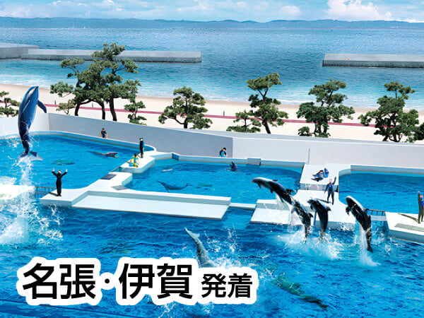 神戸須磨シーワールド(2024)