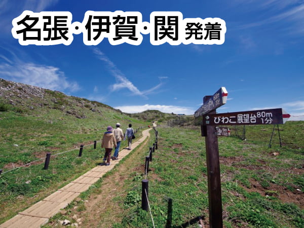 伊吹山ハイキングとひまわり畑(2024)