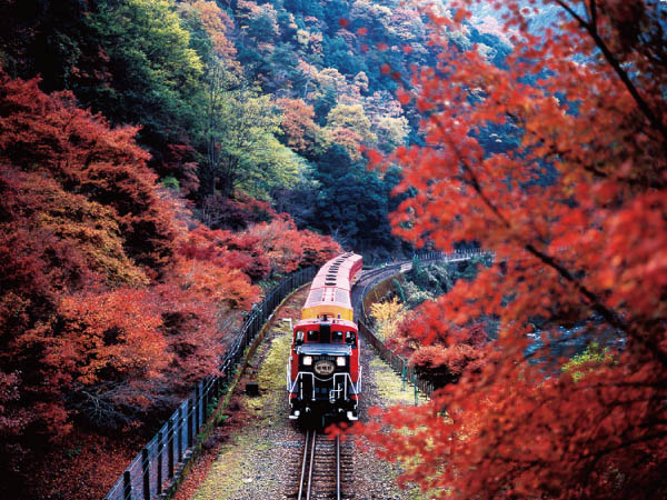 嵯峨野トロッコ列車と嵐山(2024)