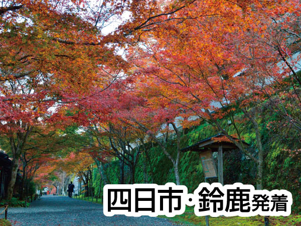 京の里山・大原あるきと芹生(2024)