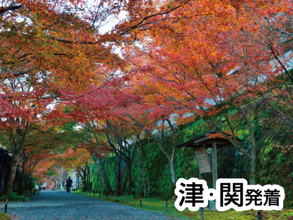 京の里山・大原あるきと芹生(2024)