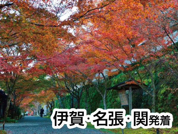 京の里山・大原あるきと芹生(2024)
