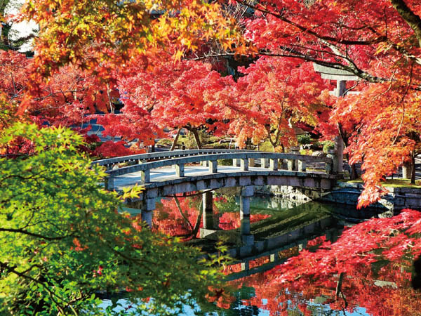 京都南禅寺・永観堂特別公開(2024)