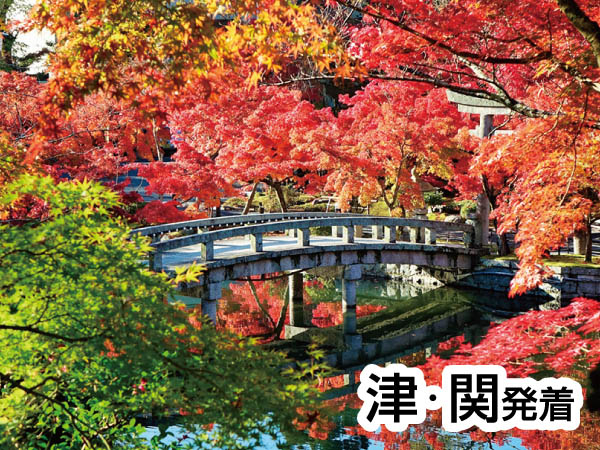 京都南禅寺・永観堂特別公開(2024)
