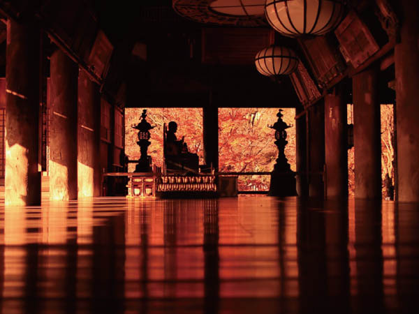 奈良大和路・長谷寺と室生寺(2024)